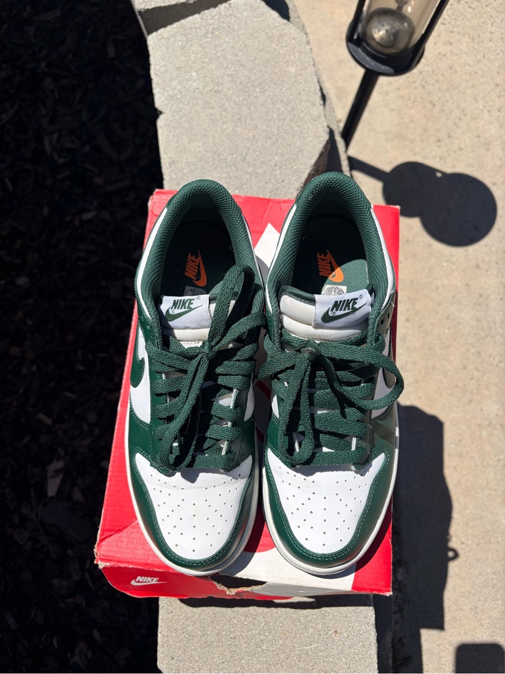 Nike Kids Low-Top Dunk in Green and White